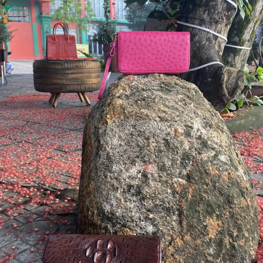 Túi Da Nữ Thời Trang VX09