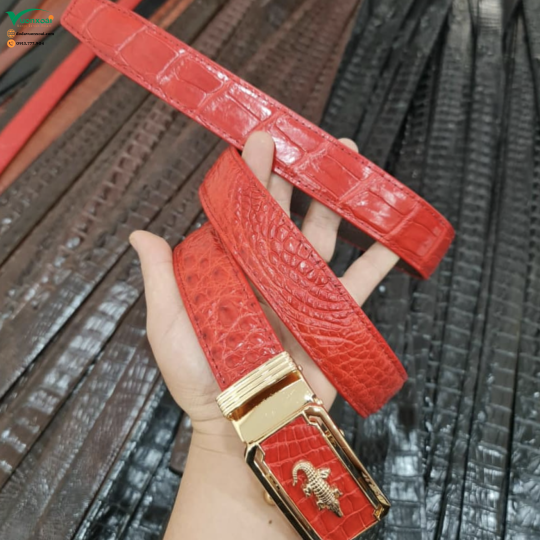 Thắt Lưng Nữ Màu Xinh
